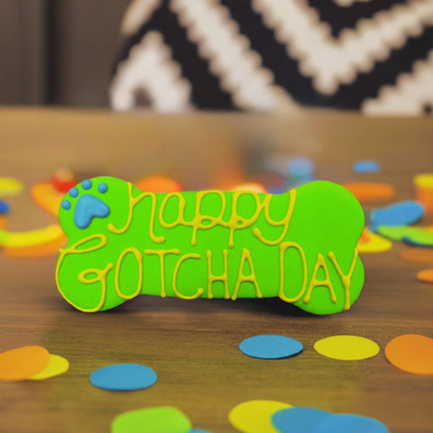 Happy Gotcha Day Dog Treat