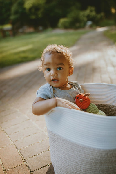 Garden Toy Bug Rattle - Red Caterpillar