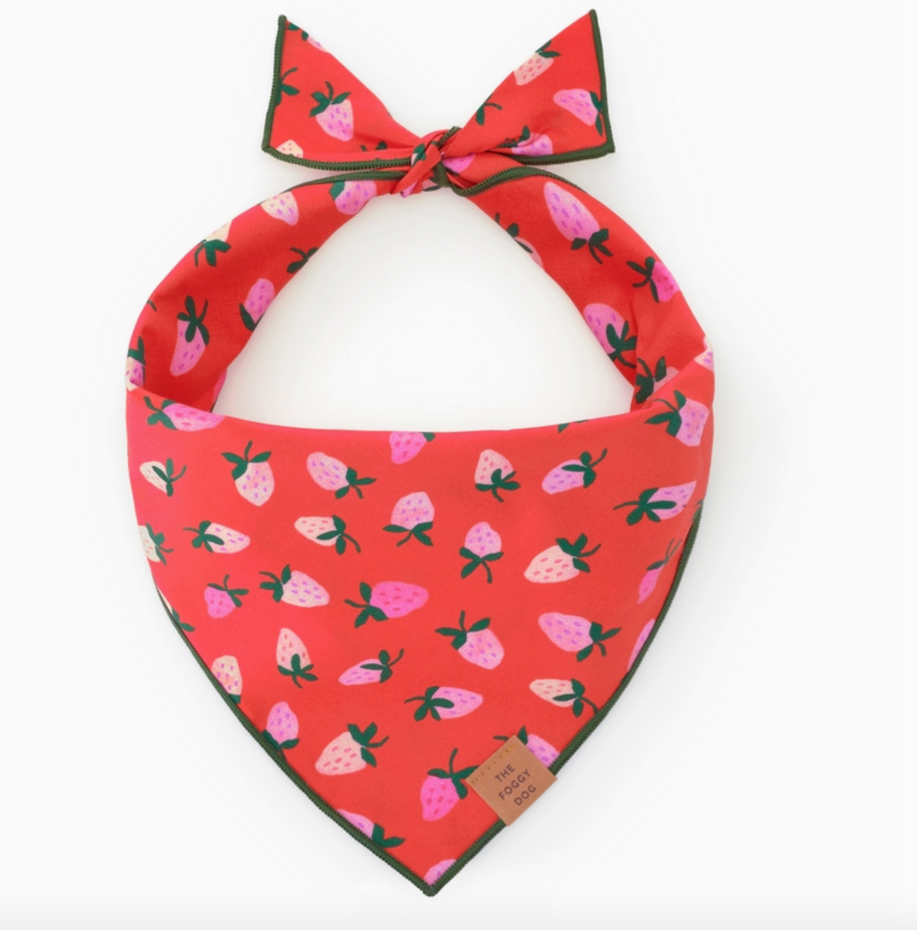 Berry Sweet Day Dog Bandana