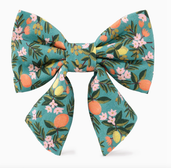 Rifle Paper Co. X Citrus Floral Lady Dog Bow