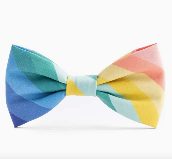 Over the Rainbow Day Dog Bow Tie